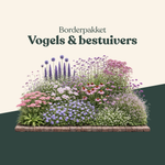Borderpakket: vogels & bestuivers-Angelo