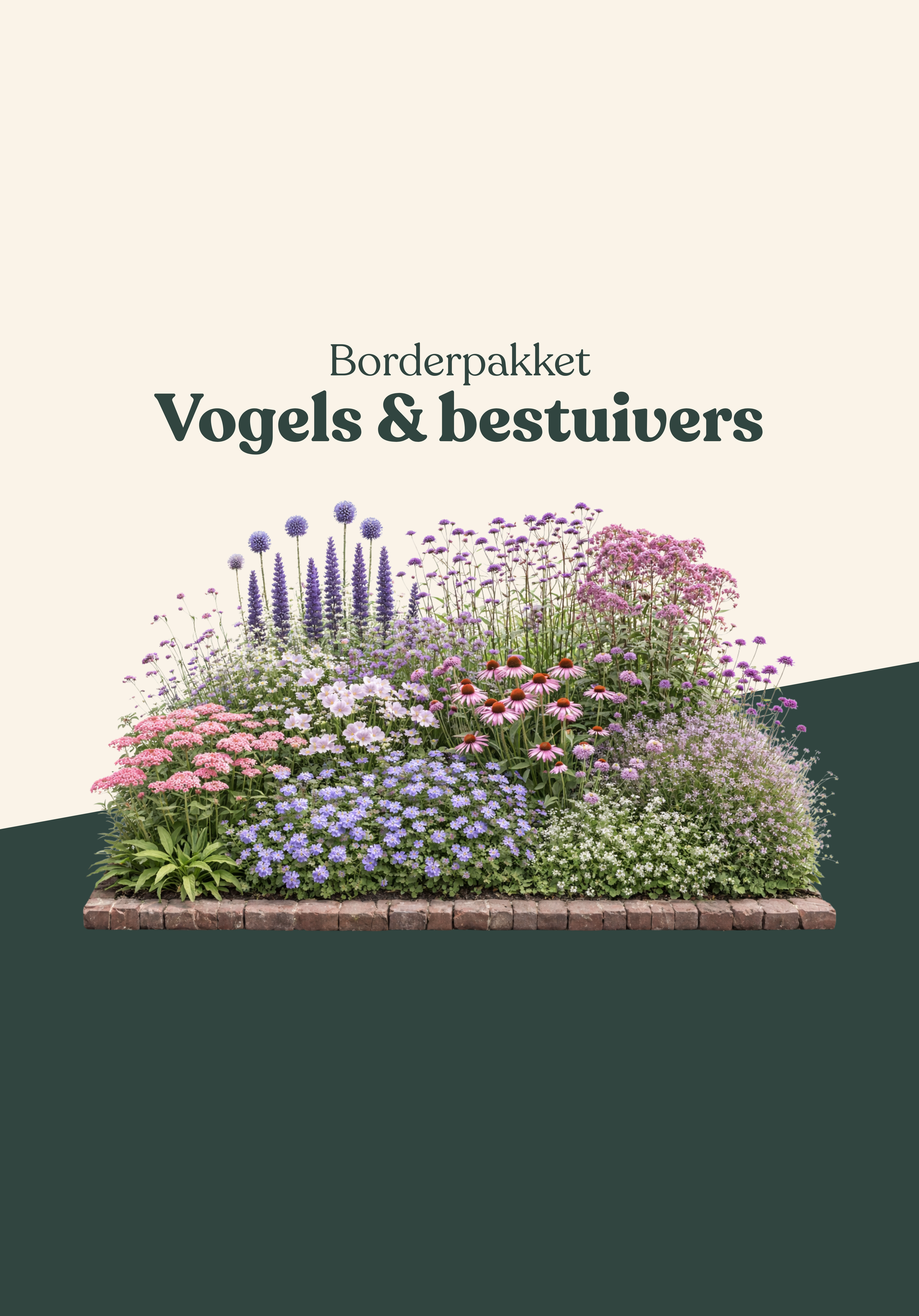 Borderpakket: vogels & bestuivers-Angelo