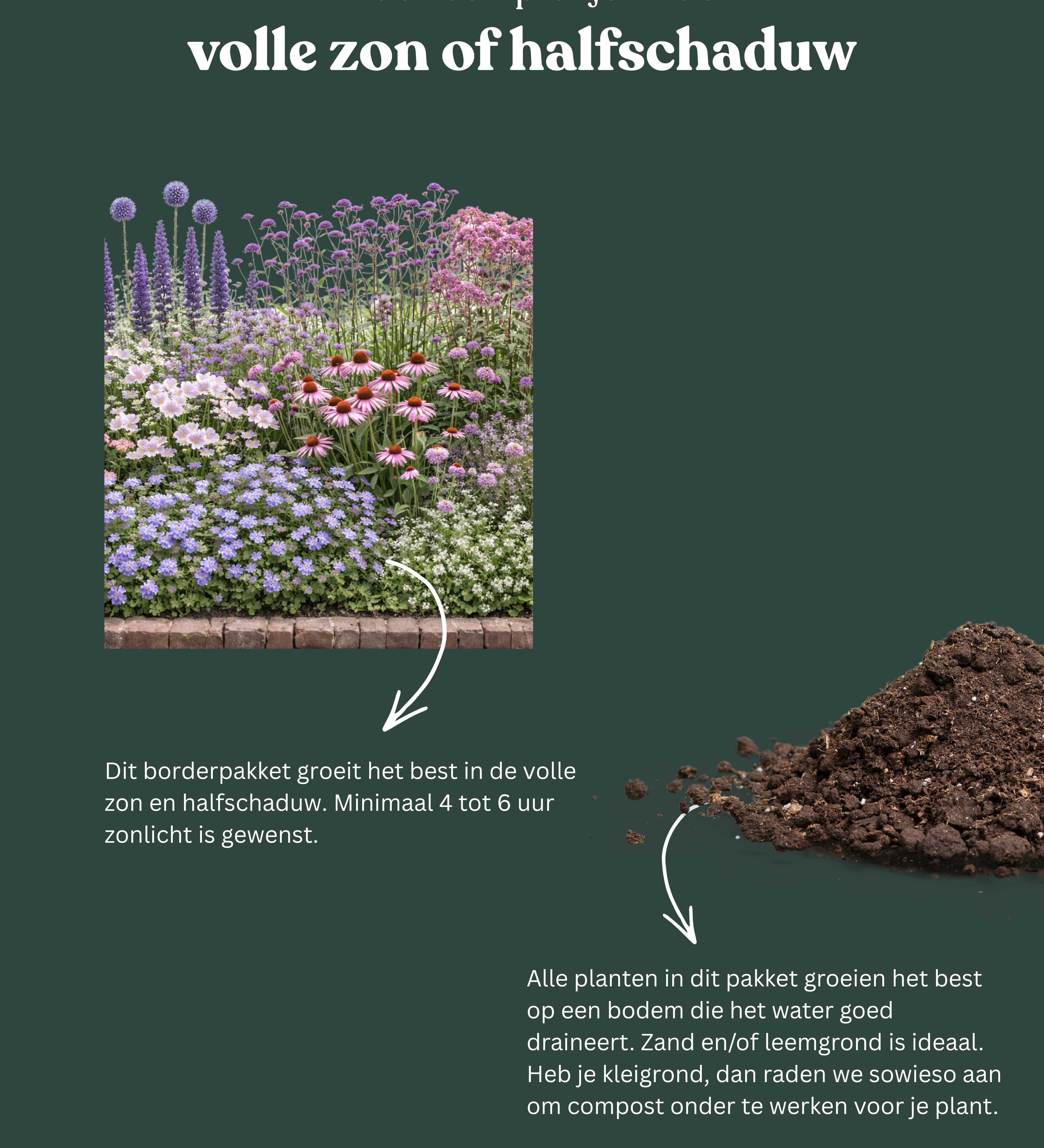 Borderpakket: vogels & bestuivers-Angelo