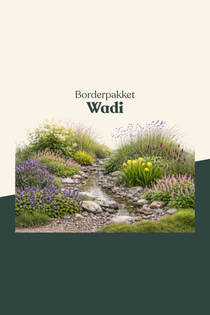 Borderpakket: Wadi-Angelo