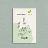 Winterpostelein-Angelo