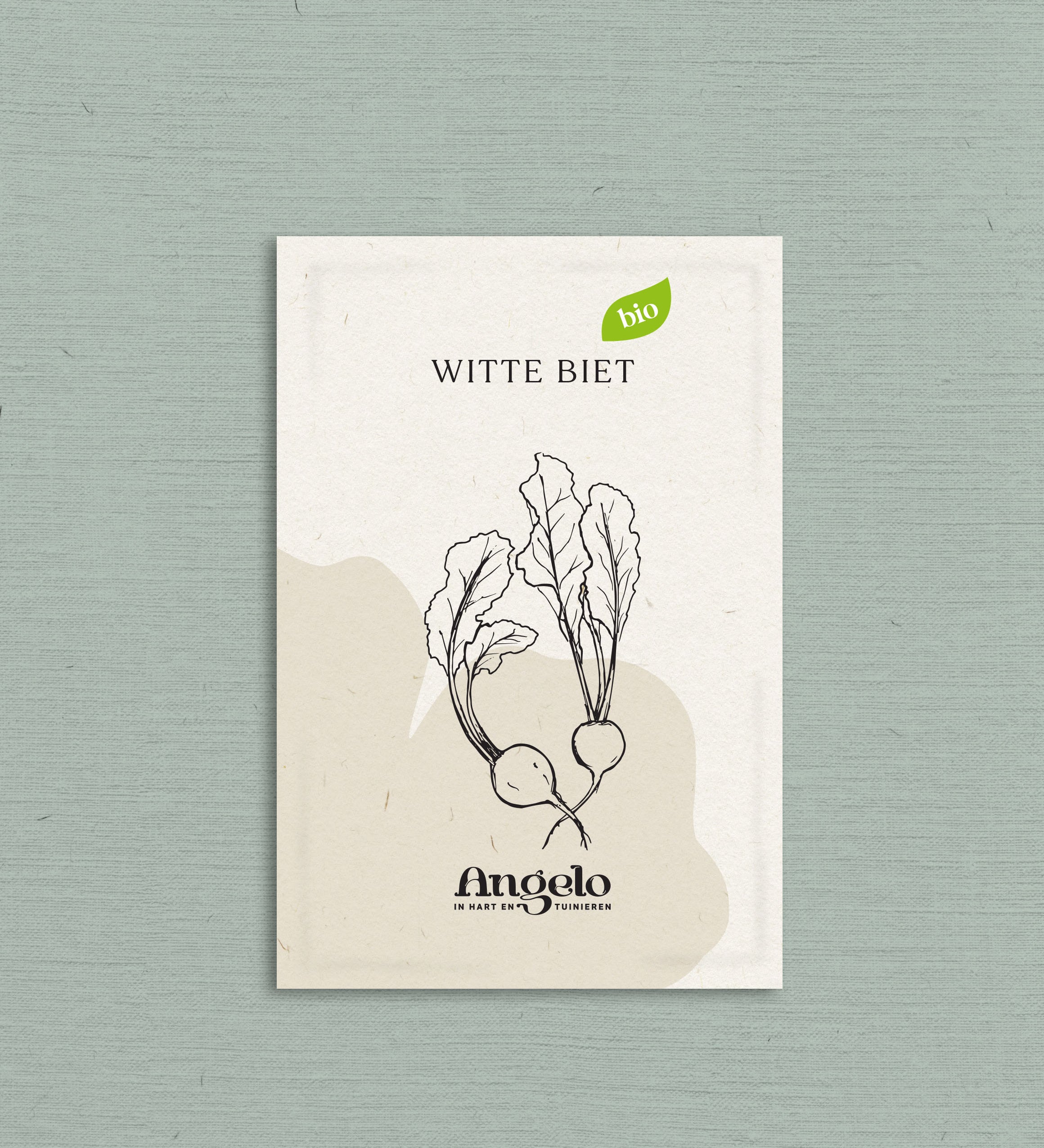 Witte biet-Angelo