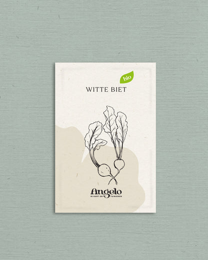 White beetroot