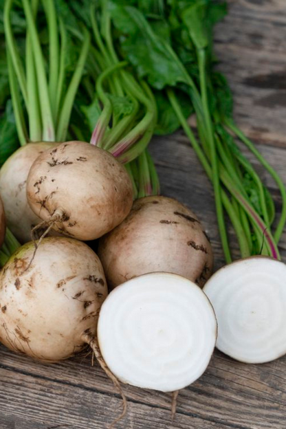 White beetroot