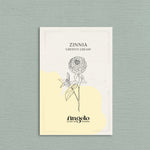 Zinnia elegans 'cresto! cream'-Angelo