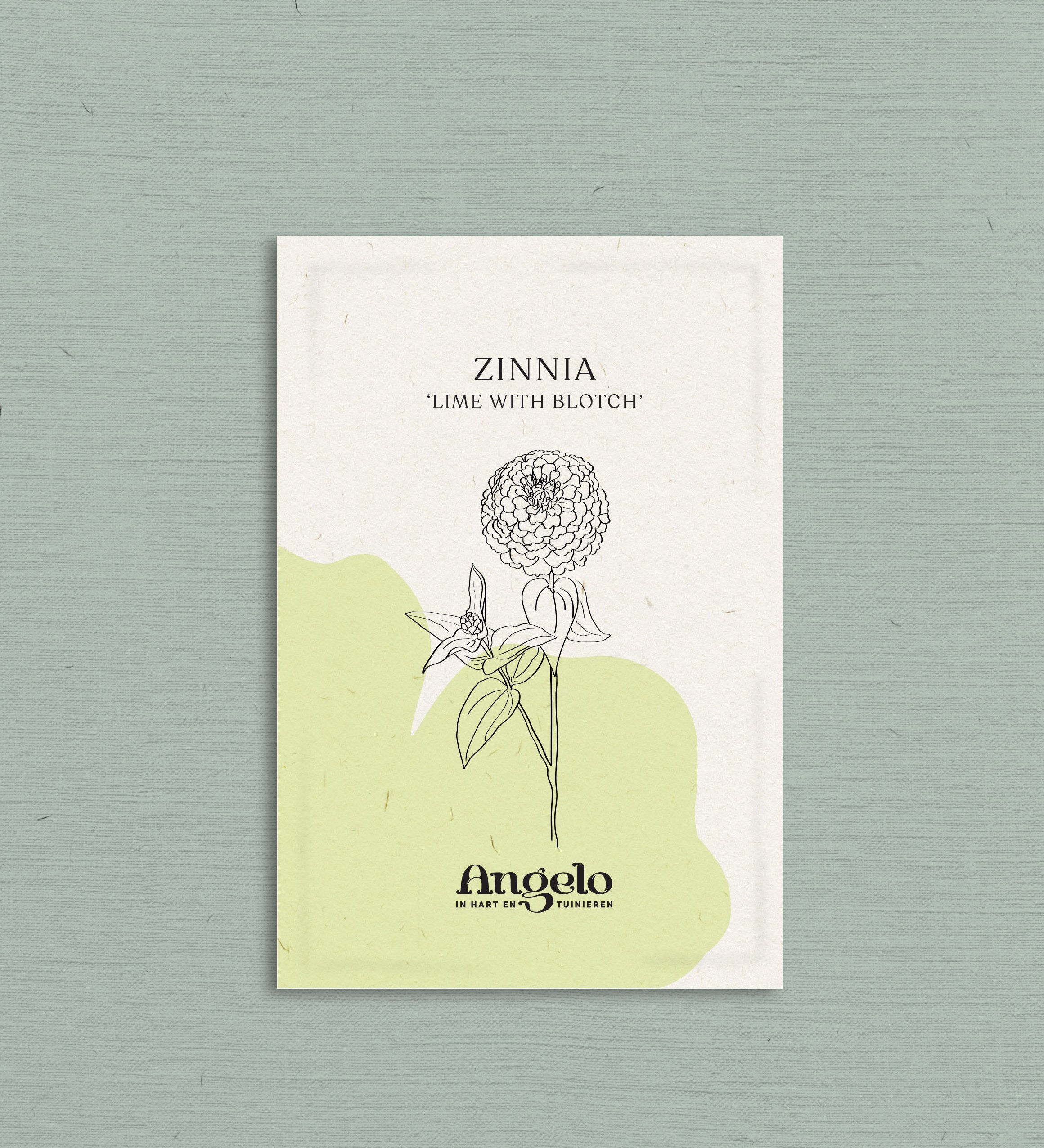 Zinnia elegans 'Lime with Blotch'-Angelo