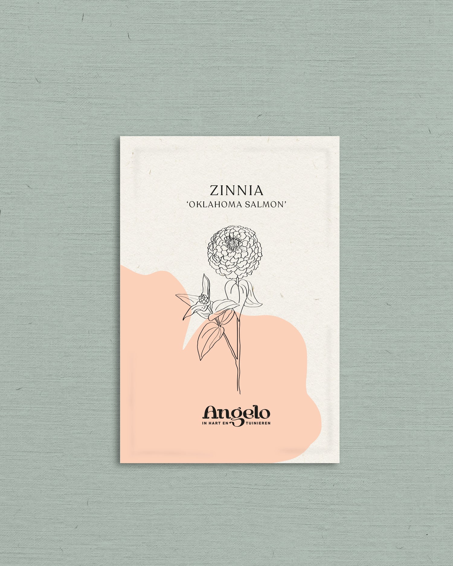 Zinnia elegans &