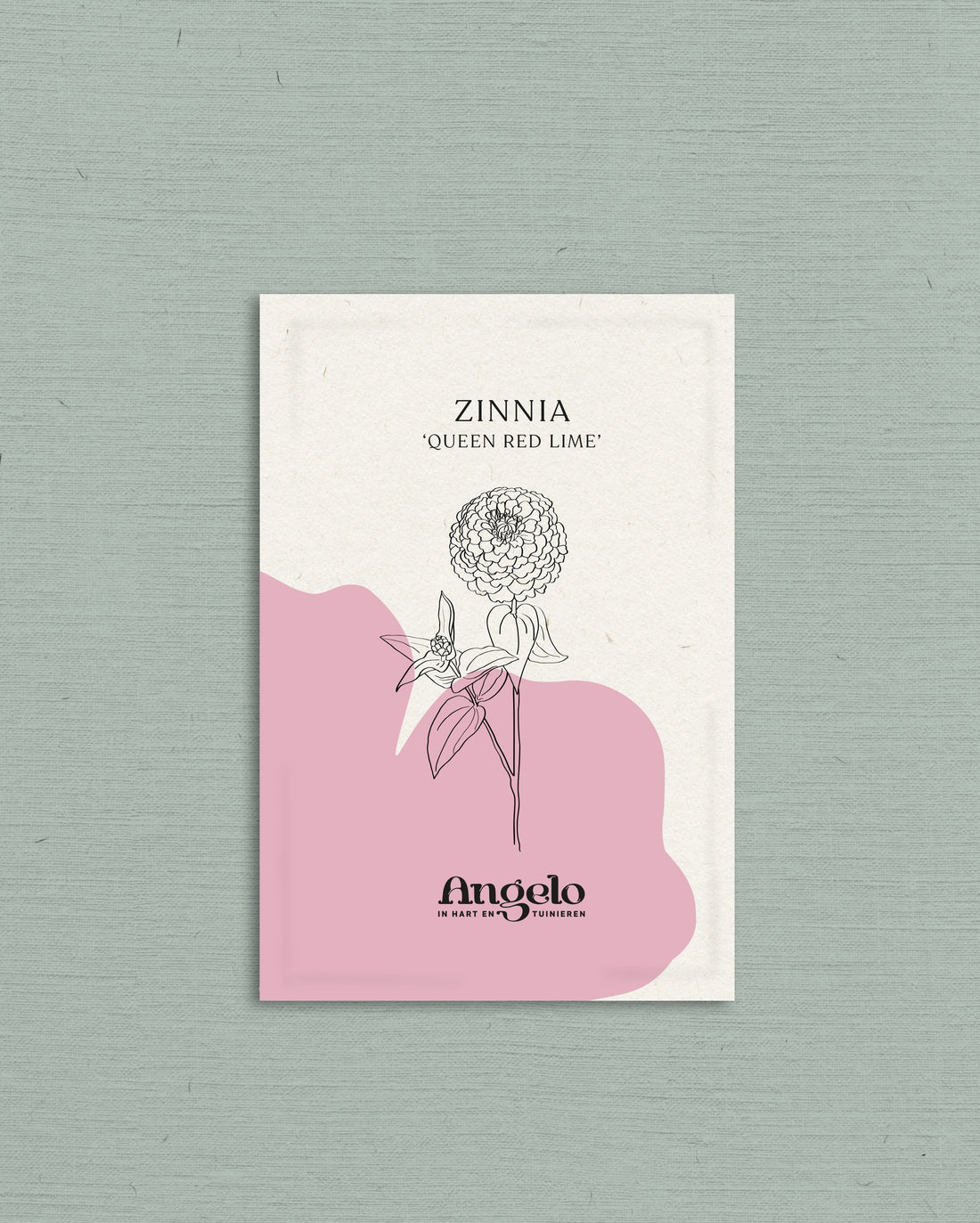 Zinnia Elegans &