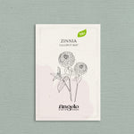 Zinnia elegans 'Lilliput Choice Mixed'-Angelo