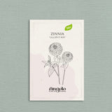 Zinnia elegans 'Lilliput Choice Mixed'-Angelo