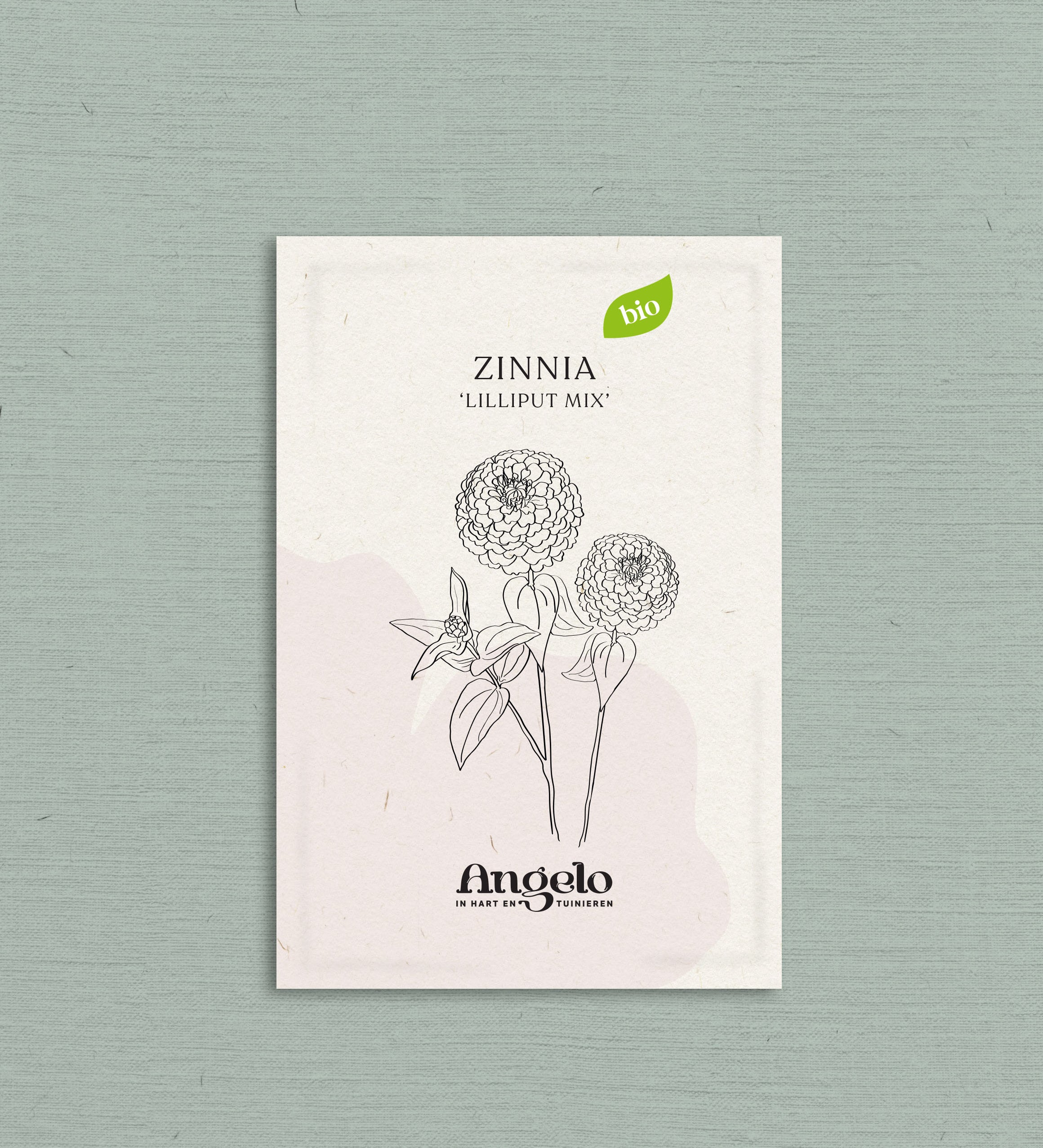 Zinnia elegans 'Lilliput Choice Mixed'-Angelo