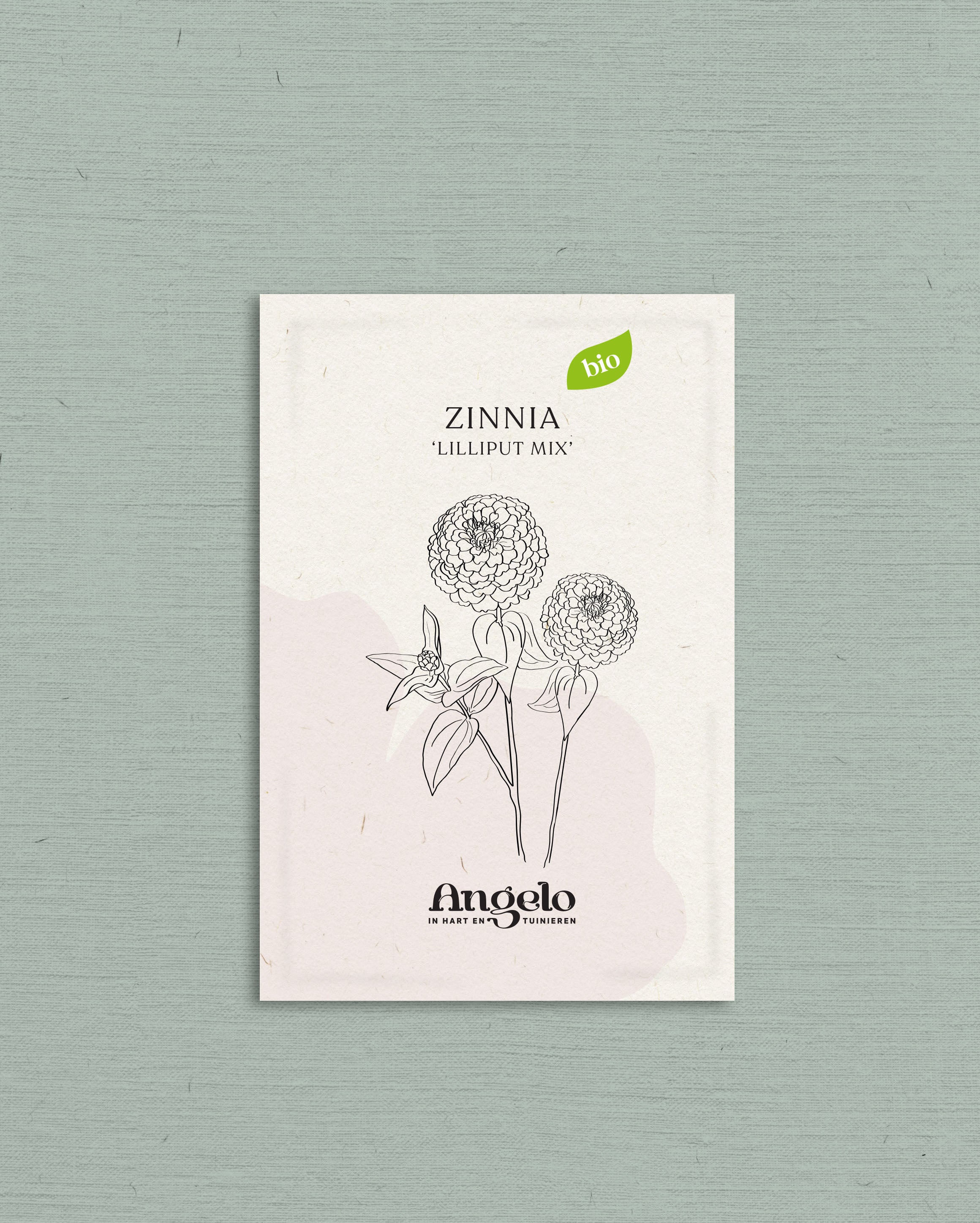 Zinnia elegans 'Lilliput Choice Mixed'-Angelo