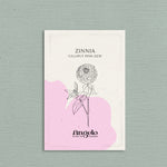 Zinnia lilliput 'Pink Gem'-Angelo