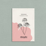 Zinnia Zinderella 'Fizz'-Angelo