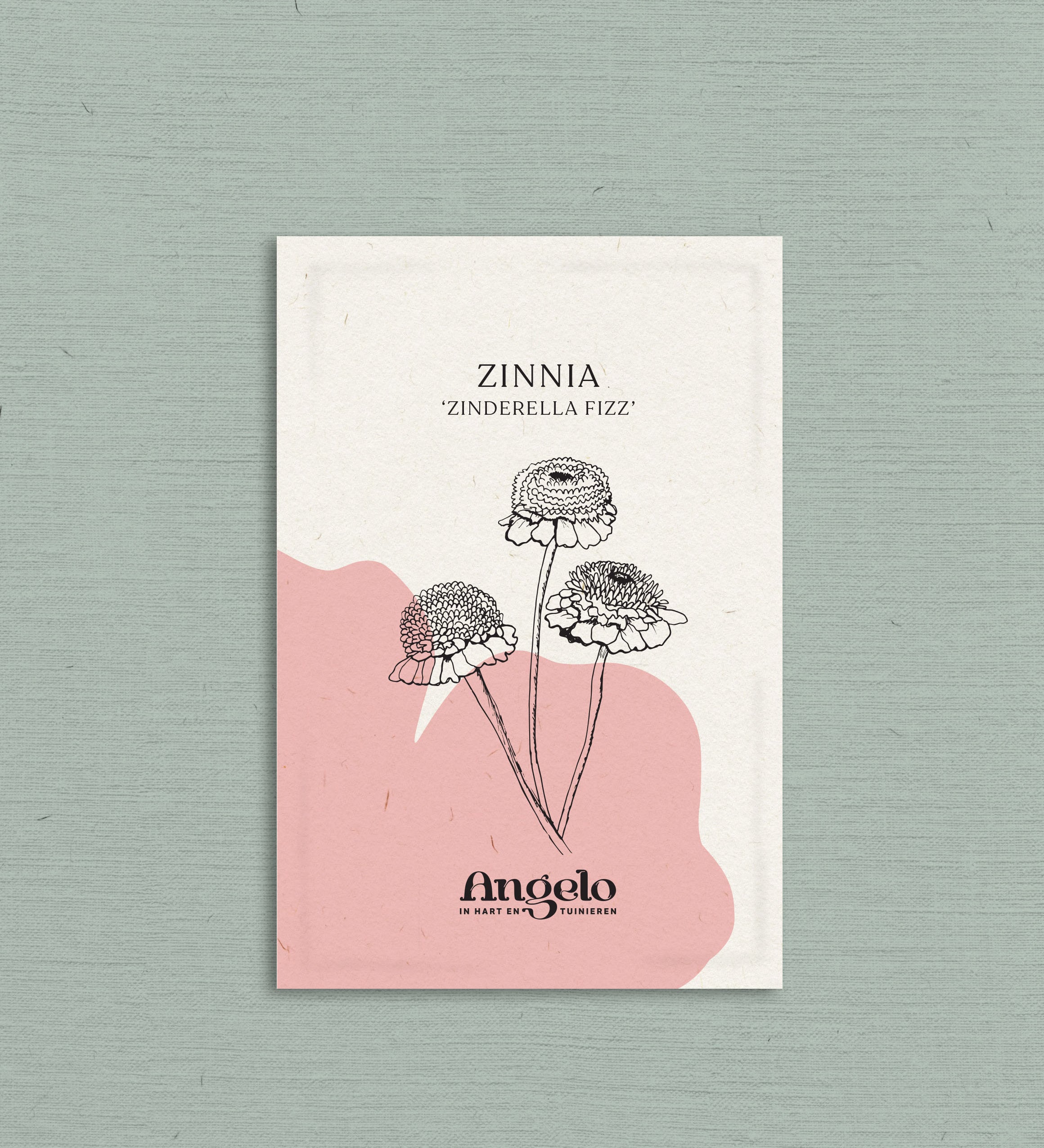 Zinnia Zinderella 'Fizz'-Angelo