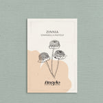 Zinnia Zinderella 'Pastels'-Angelo
