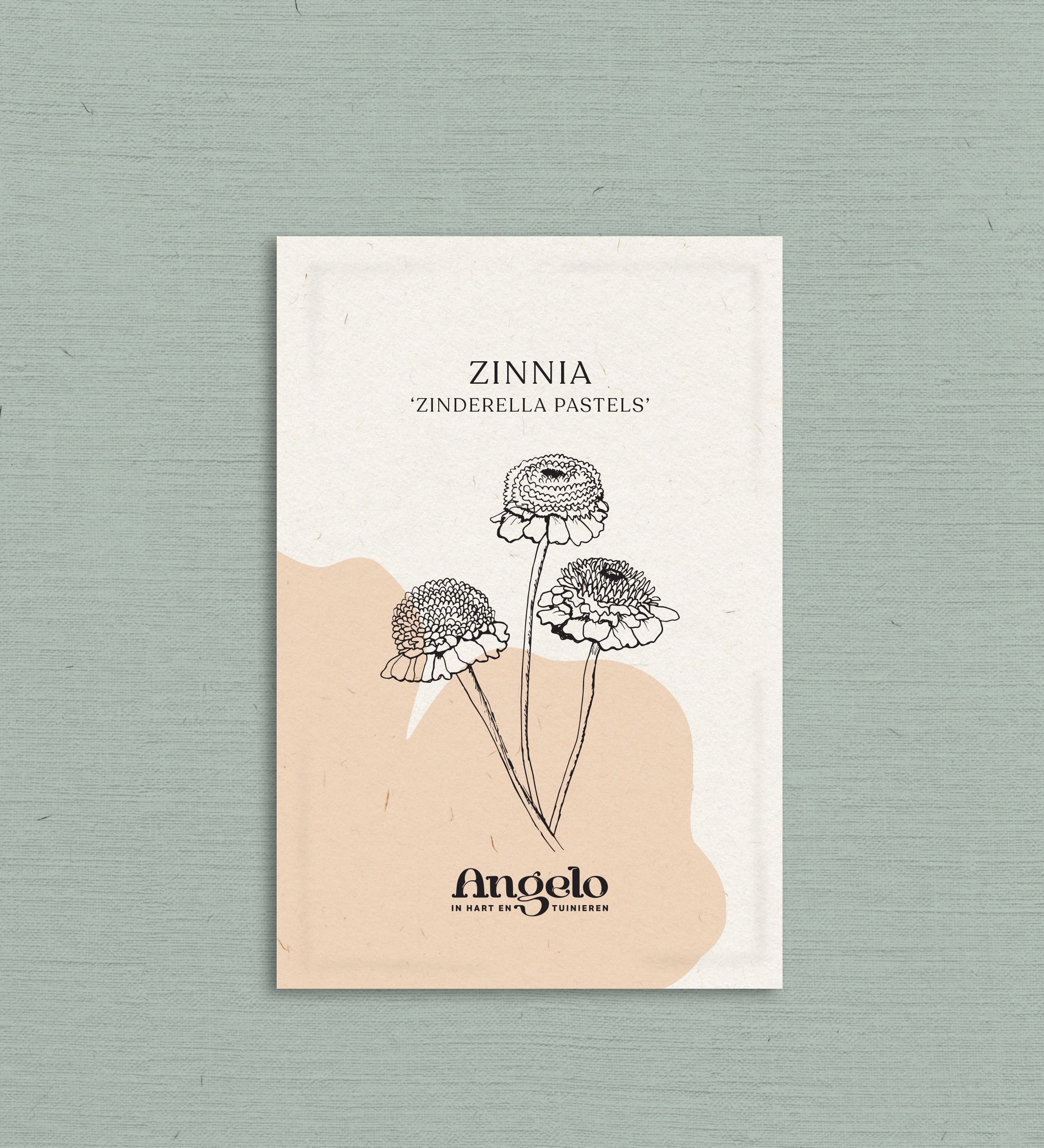 Zinnia Zinderella 'Pastels'-Angelo