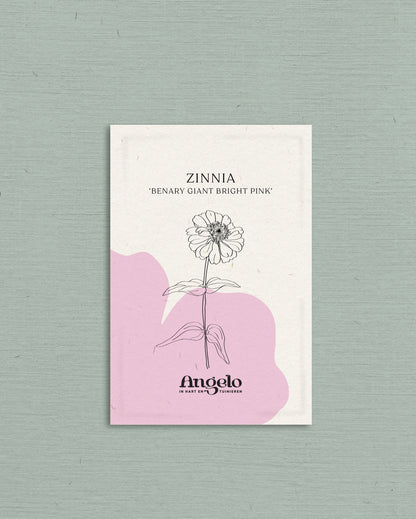 Zinnia elegans &