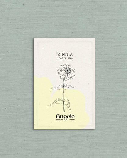 Zinnie elegans &