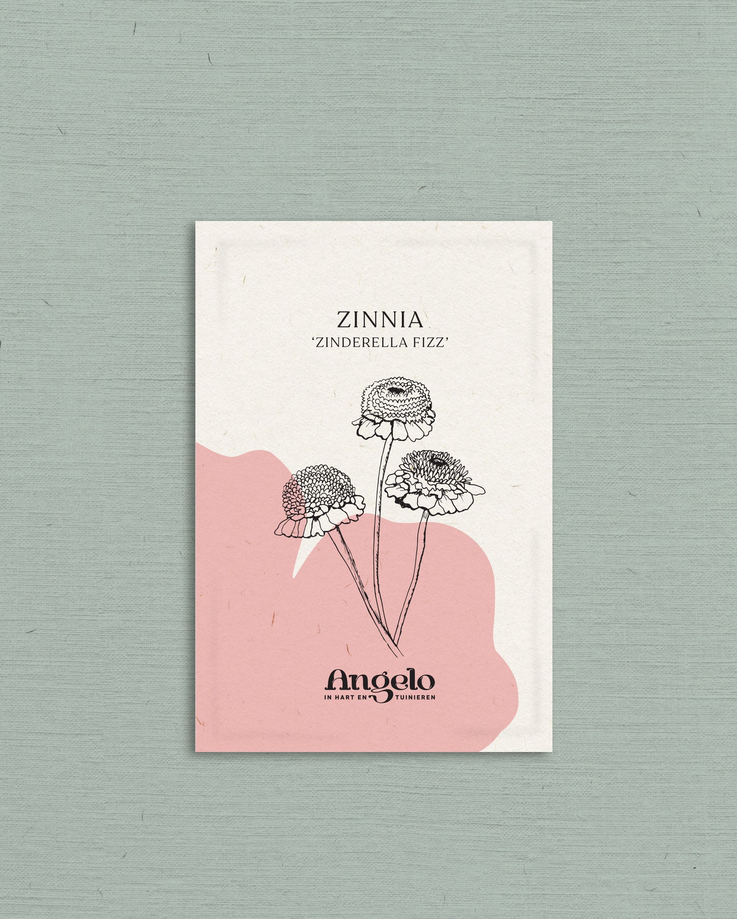 Zinnia Zinderella &