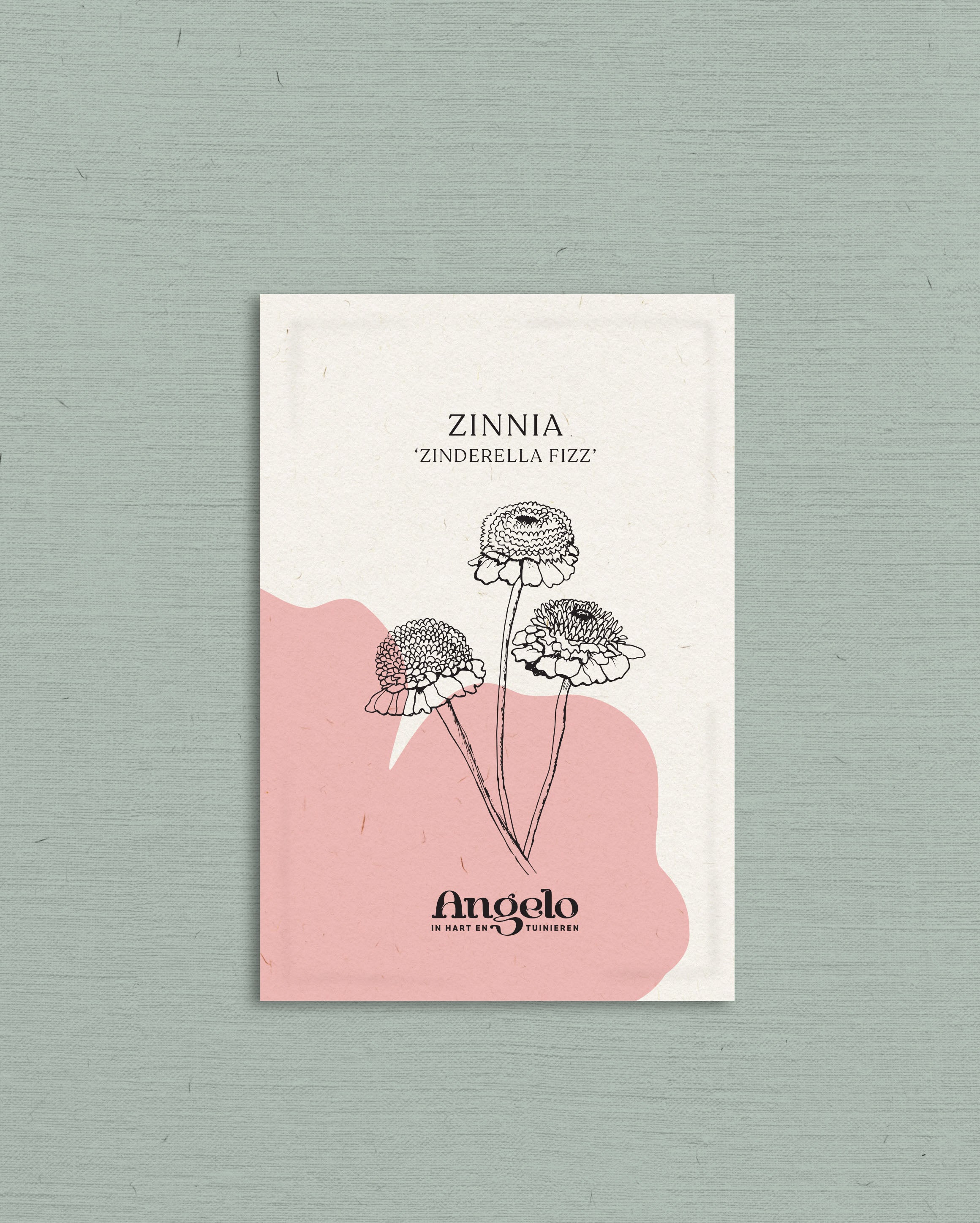 Zinnia Zinderella &