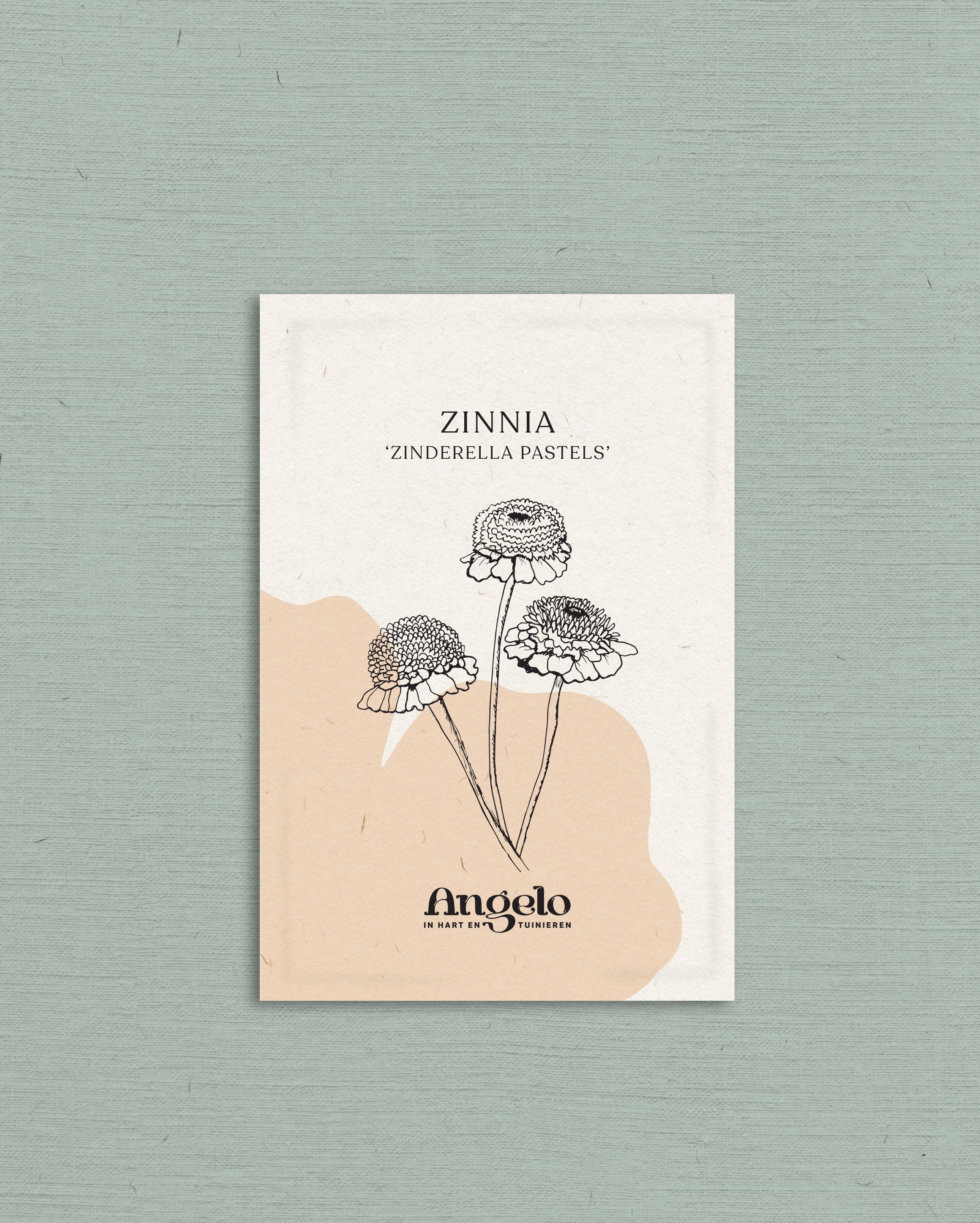 Zinnia Zinderella &