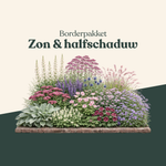 Borderpakket: zon & halfschaduw-Angelo