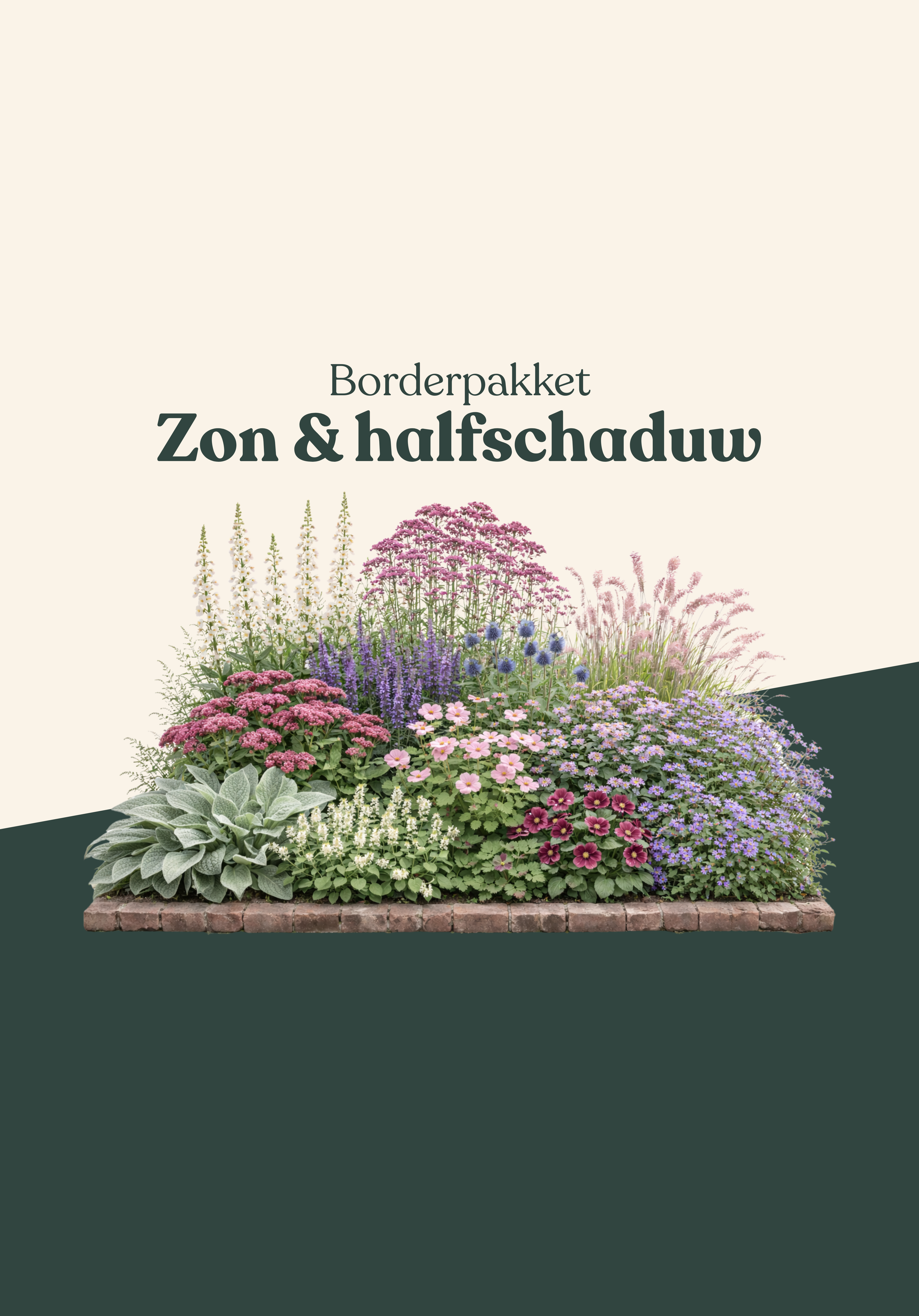 Borderpakket: zon & halfschaduw-Angelo