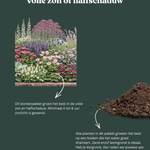 Borderpakket: zon & halfschaduw-Angelo