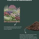 Borderpakket: zon & halfschaduw-Angelo