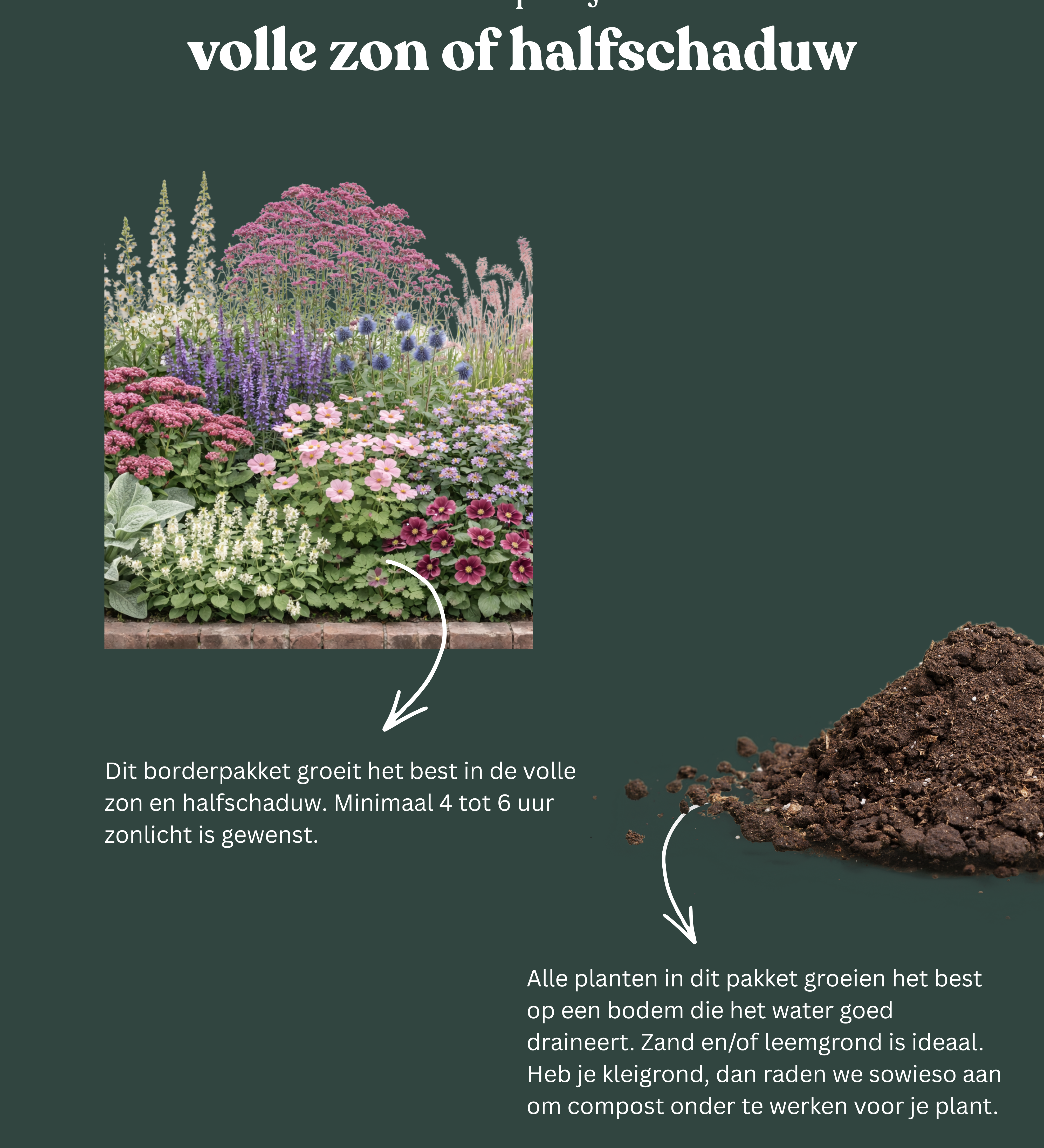 Borderpakket: zon & halfschaduw-Angelo