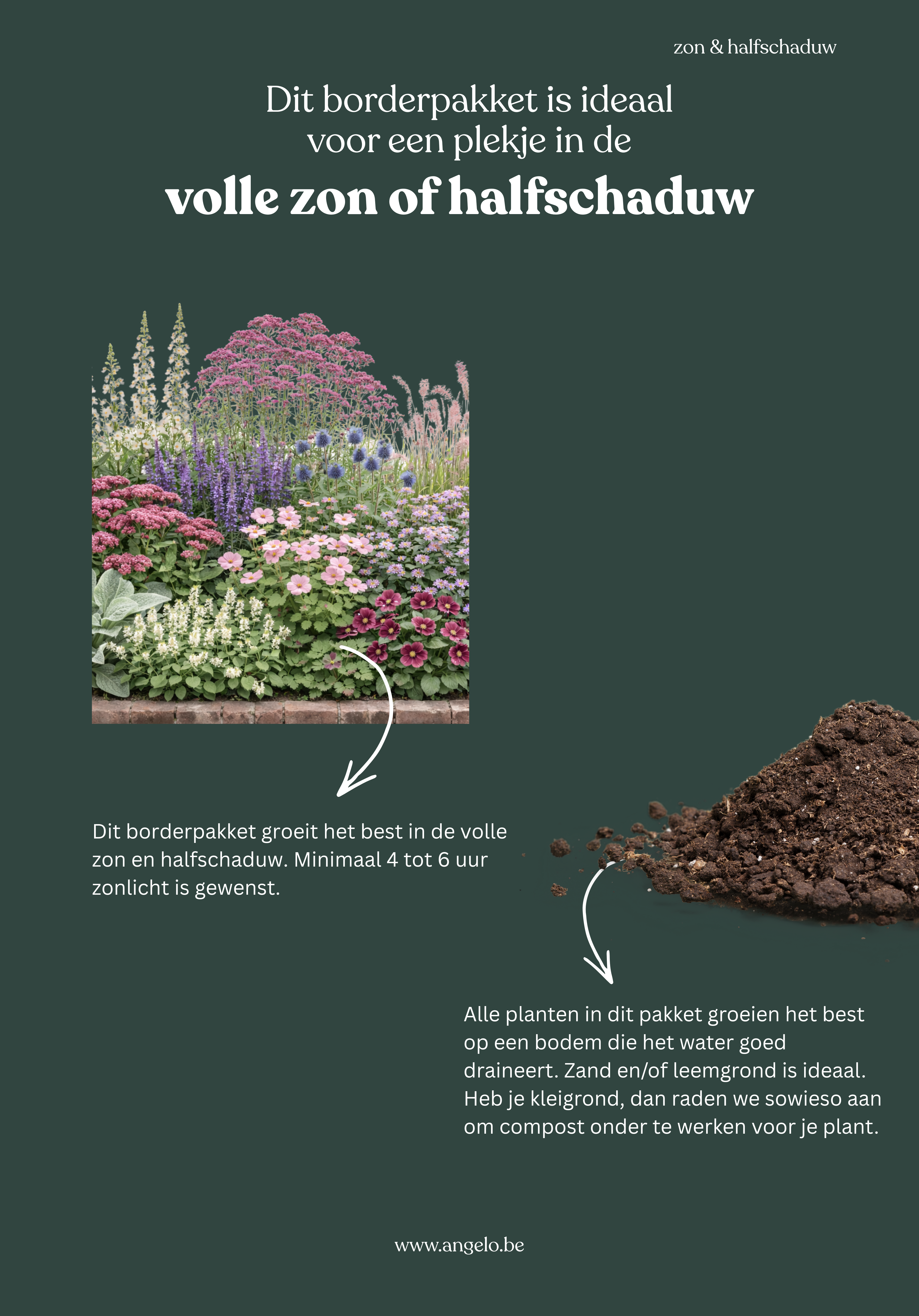 Borderpakket: zon & halfschaduw-Angelo
